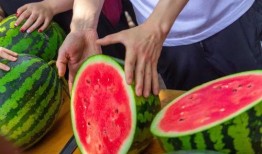 吃瓜免费通道,畅享娱乐新体验