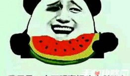 娱乐吃瓜什么梗,揭秘那些年我们吃过的瓜